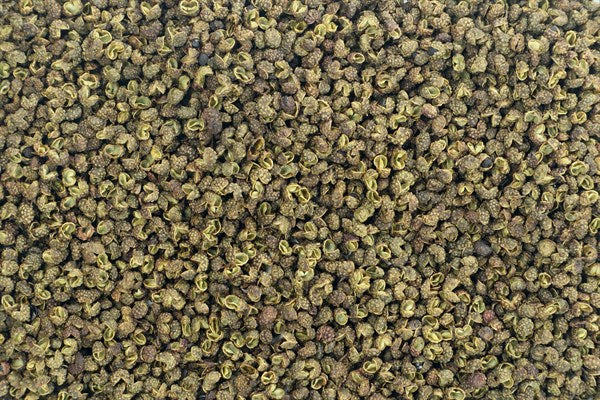 Πράσινη πιπεριά Szechuan ολόκληρη - 100 g